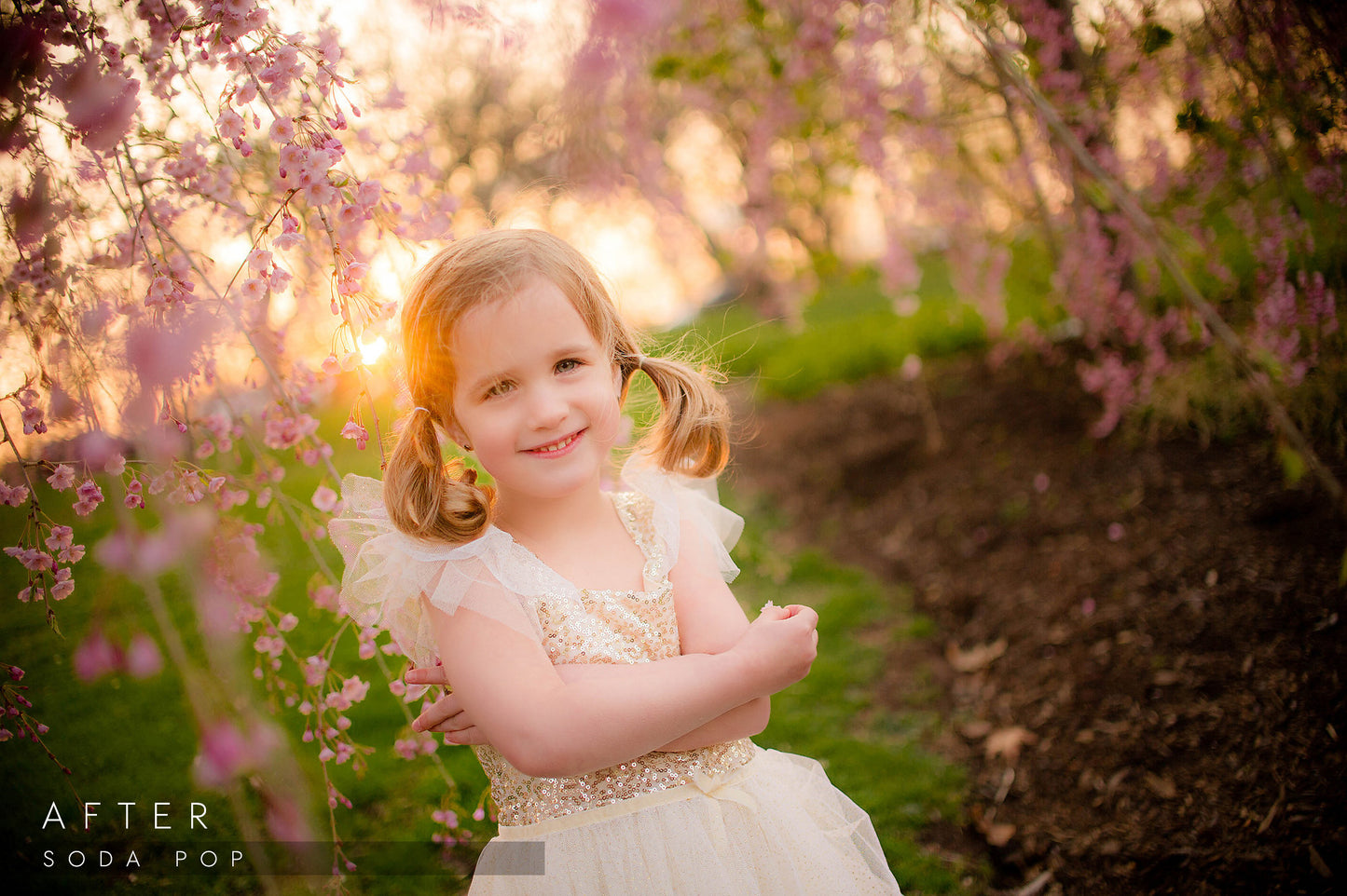 lightroom presets photographers tools