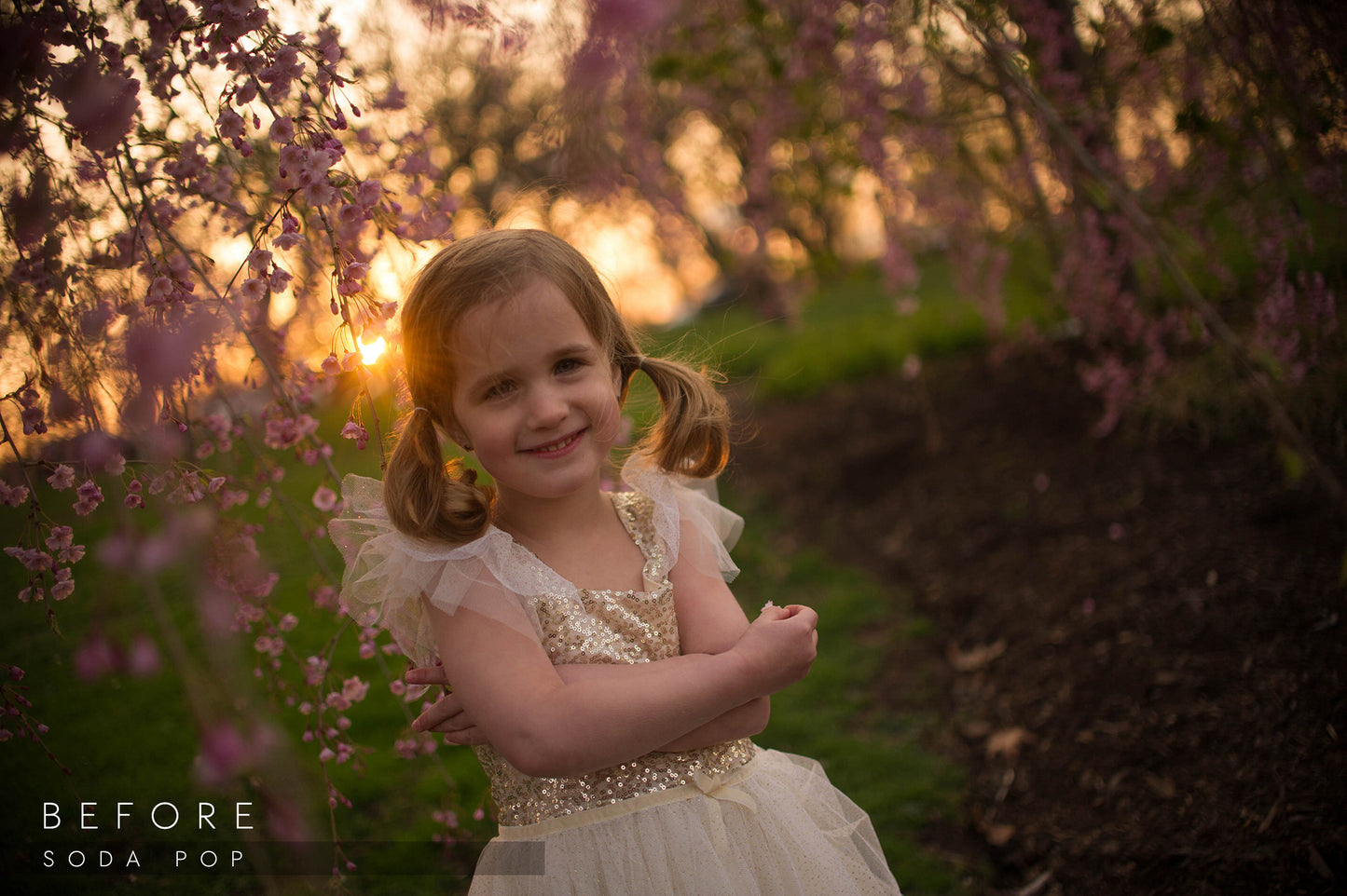 lightroom preset