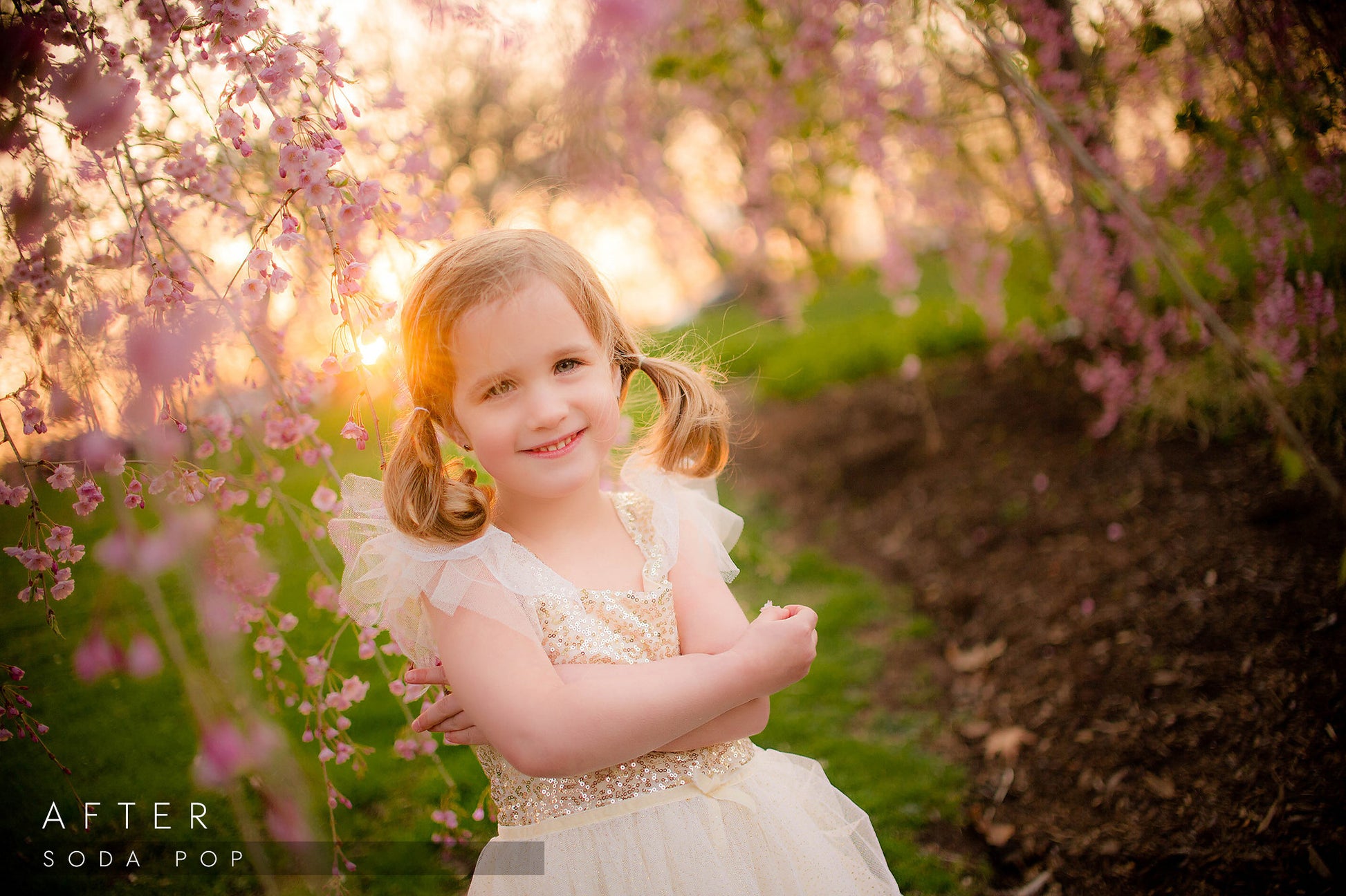 lightroom presets photographers tools